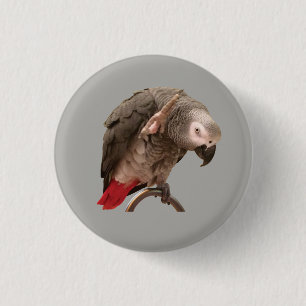 Einstein Parrot Waving 3 Cm Round Badge
