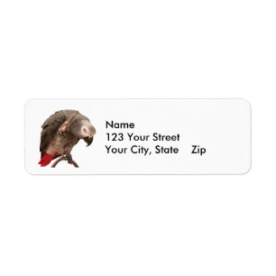 Einstein Parrot Waving Return Address Label