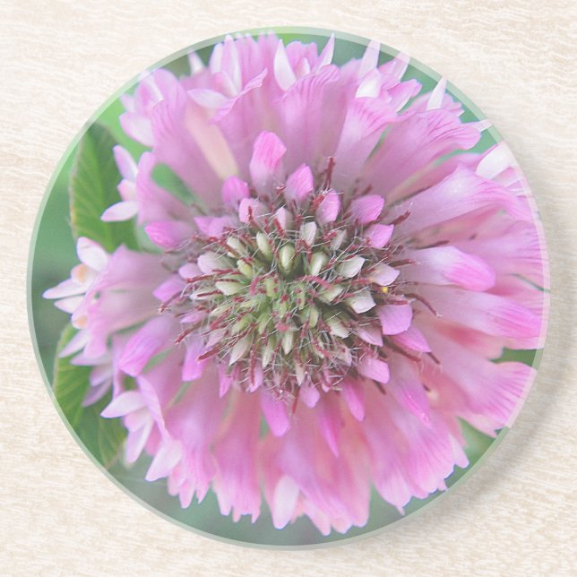 Einzigartige rosa Blüte Coaster (Front)