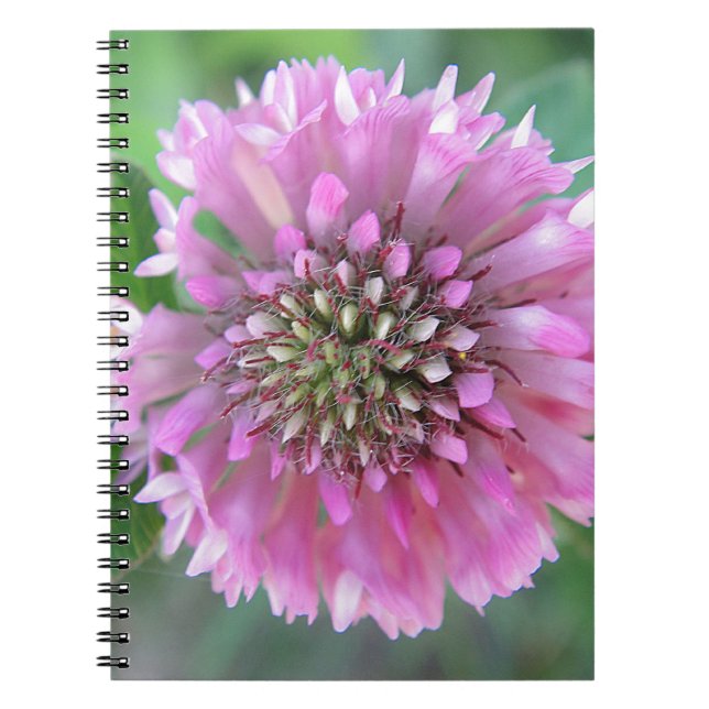 Einzigartige rosa Blüte Notebook (Front)