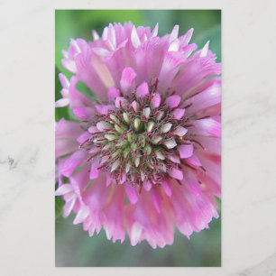 Einzigartige rosa Blüte Stationery