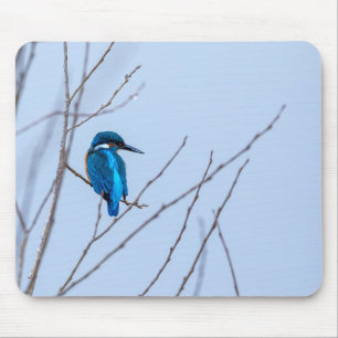 Eisvogel im Ansitz Mouse Pad