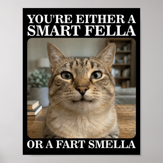Either a Smart Fella or a Fart Smella Funny Cat Poster (Front)