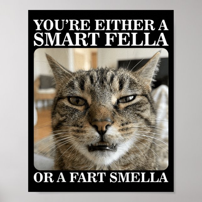Either a Smart Fella or a Fart Smella Funny Cat Poster (Front)