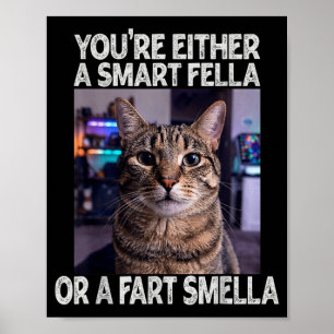 Either A Smart Fella Or A Silly Fella Funny Cat Poster