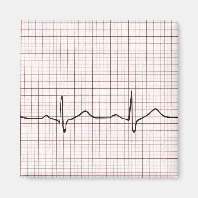 EKG heartbeat on graph paper, PhD (doctor) pulse Magnet (Front)