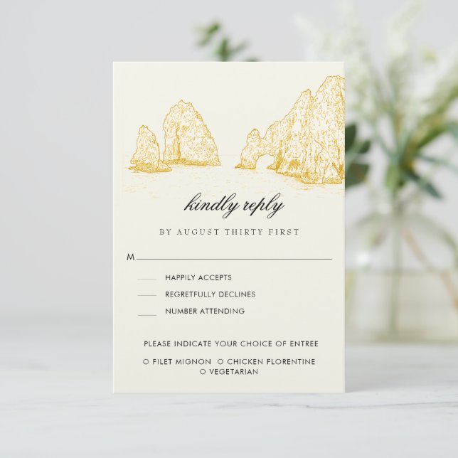 El Arco Cabo San Lucas Kindly Reply | Meal Options RSVP Card (Standing Front)