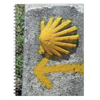 El Camino de Santiago de Compostela, Spain, shell