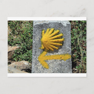 El Camino de Santiago de Compostela, Spain, shell Postcard