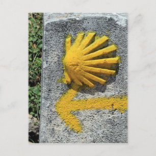 El Camino de Santiago de Compostela, Spain, shell Postcard
