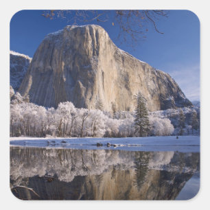 El Capitan reflects into the Merced River in 2 Square Sticker