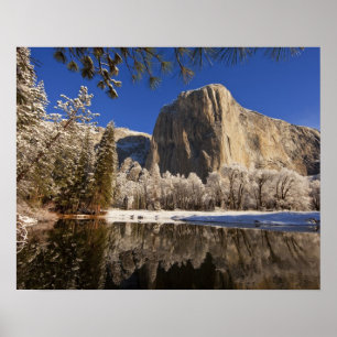 El Capitan reflects into the Merced River in Poster