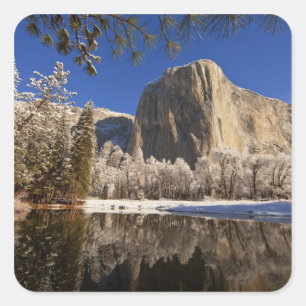 El Capitan reflects into the Merced River in Square Sticker