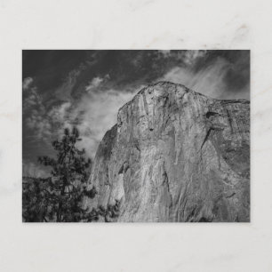 El Capitan, Yosemite - California Landscape Photo Postcard