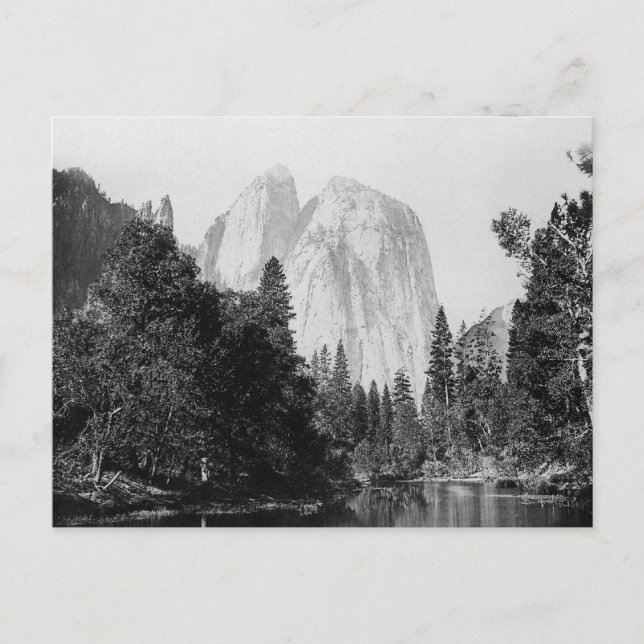 El Capitan ~ Yosemite National Park 1866 Postcard (Front)