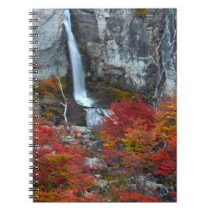 El Chorrillo Waterfall Patagonia, Argentina Notebook
