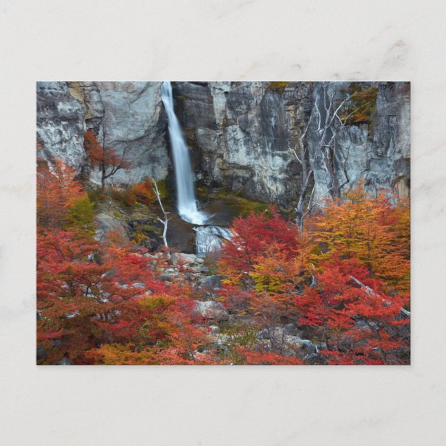 El Chorrillo Waterfall | Patagonia, Argentina Postcard (Front)