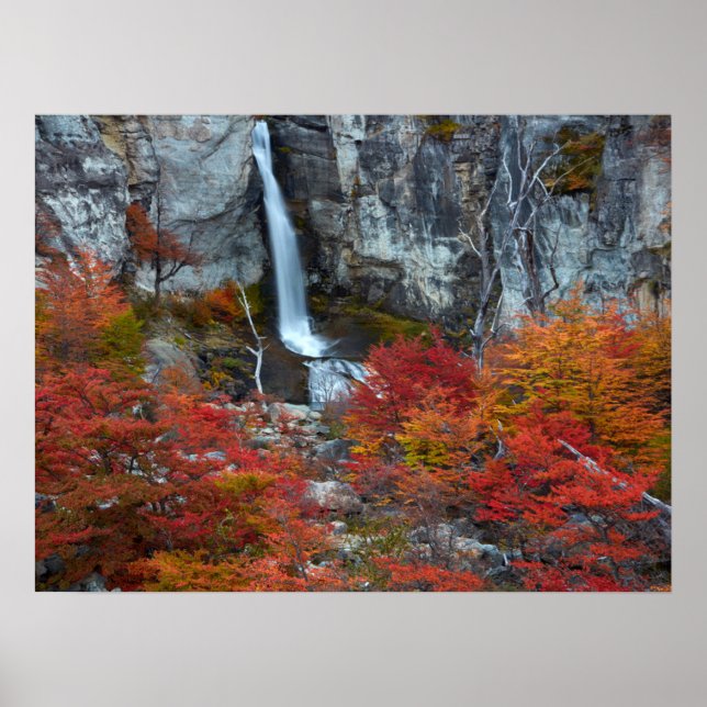 El Chorrillo Waterfall | Patagonia, Argentina Poster (Front)