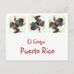 El Coqui Puerto Rico Post Card