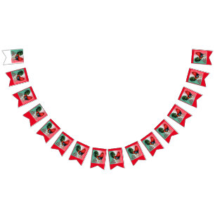 El Gallo Grande Bunting