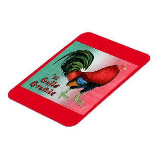 El Gallo Grande Magnet