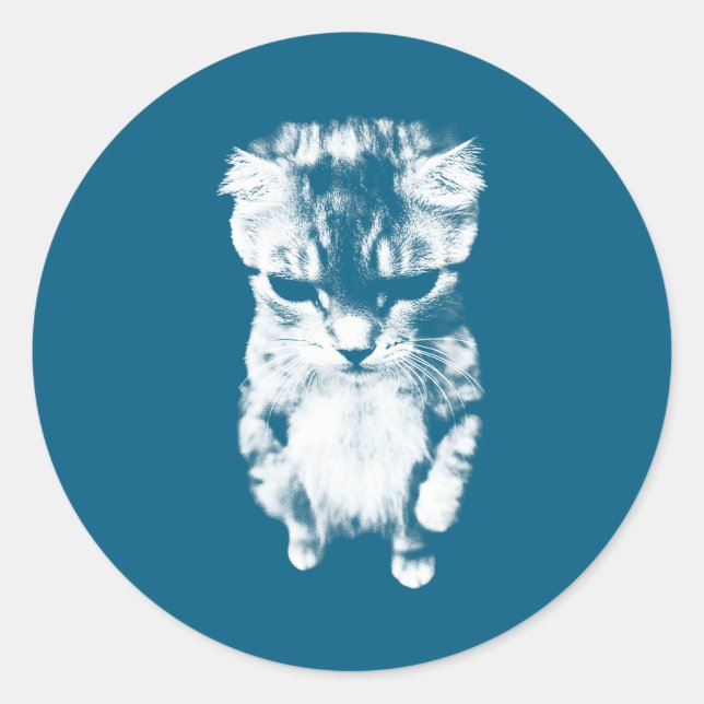El Gato Sad Kitten Meme Classic Round Sticker (Front)