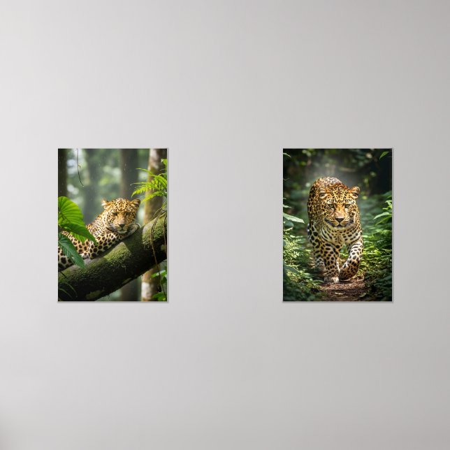 El Guardián del Musgo (Front)