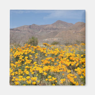 El Paso Poppies Magnet