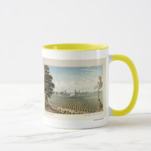 El Pinal Vineyard, San Joaquin County Mug