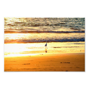 El Porto Manhattan Beach Photo Print