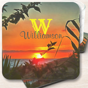 El Rio Pitillal 2009 Coaster