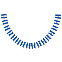 El Salvador flag bunting banner