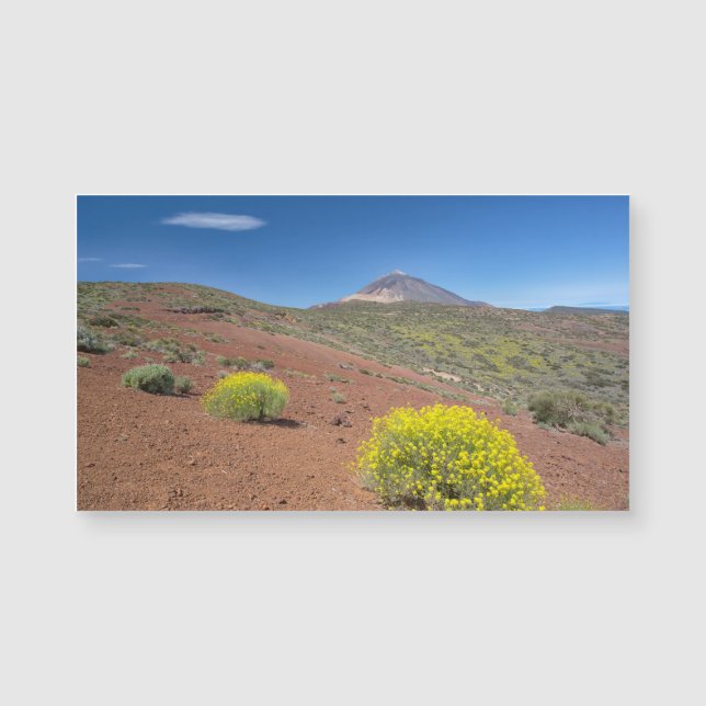 El Teide in Springtime (Front)