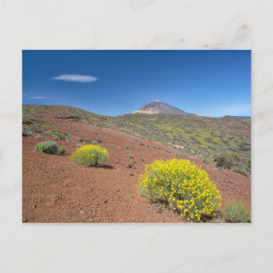 El Teide in Springtime Postcard