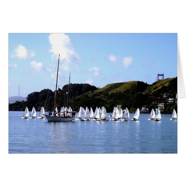 El Toro Race San Francisco Bay (Front Horizontal)