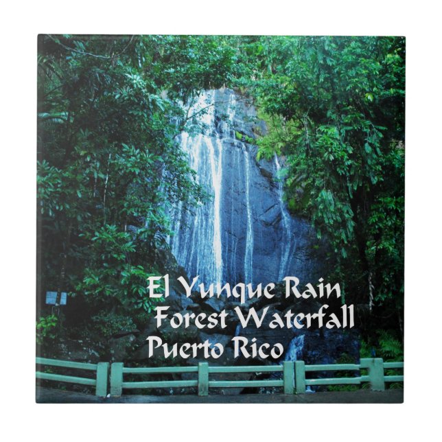 El Yunique Rainforest Ceramic Tile (Front)