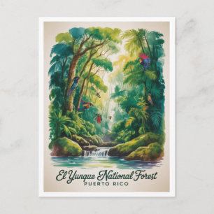 El Yunque National Forest Puerto Rico Postcard