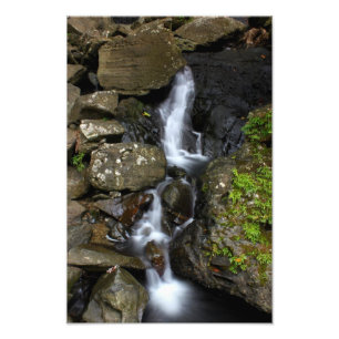 El Yunque Puerto Rico Photo Print