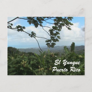 El Yunque Puerto Rico Postcard