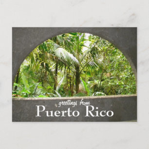 El Yunque, Puerto Rico Postcard