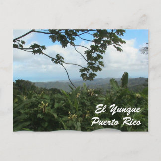 El Yunque, Puerto Rico Postcard