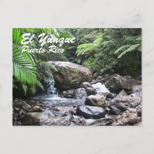 El Yunque, Puerto Rico Postcard