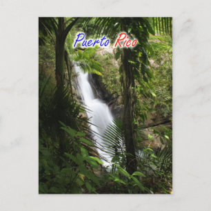 El Yunque Puerto Rico Postcard