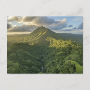 El Yunque Puerto Rico Rain Forest Postcard