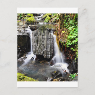 El Yunque Waterfall Postcard