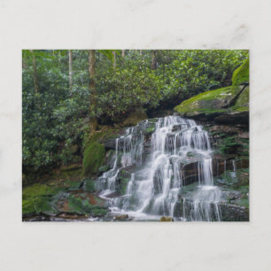 Elakala Falls #2, West Virginia Postcard