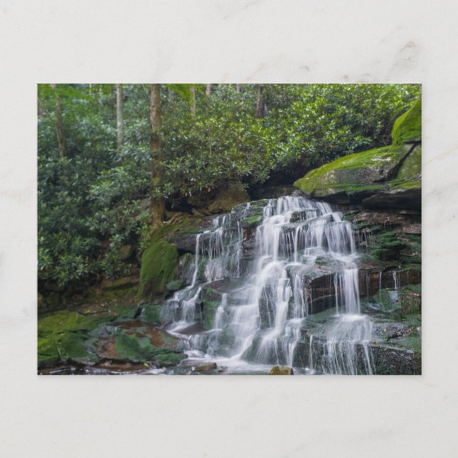 Elakala Falls #2, West Virginia Postcard (Front)