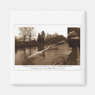 Elasmosaurus Gifts Magnet