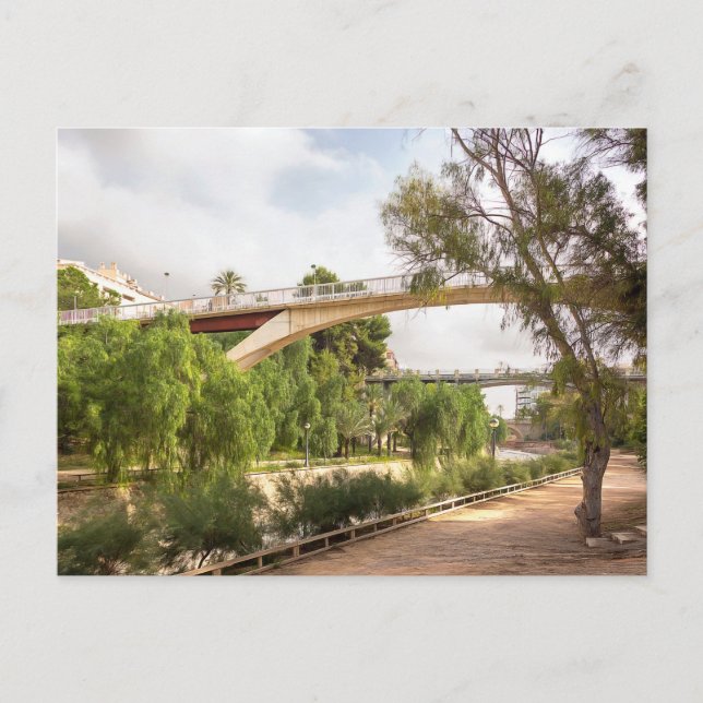 Elche. #24  postcard (Front)