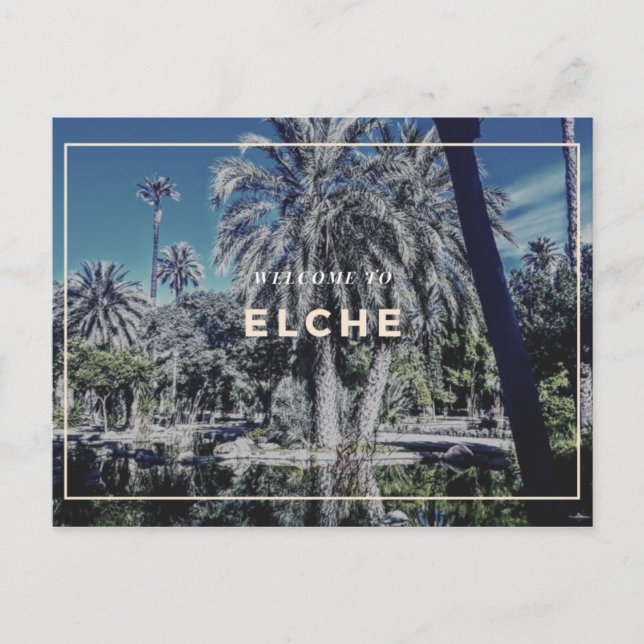Elche Postcard (Front)